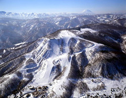 クリック☆【小樽・天狗山スキー場のHP】へジャンプ！